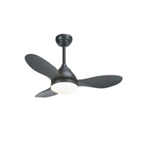 Schwarzer Deckenventilator